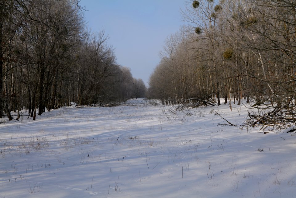 Ferbitzer Bruch with snow 2021-02-14 08