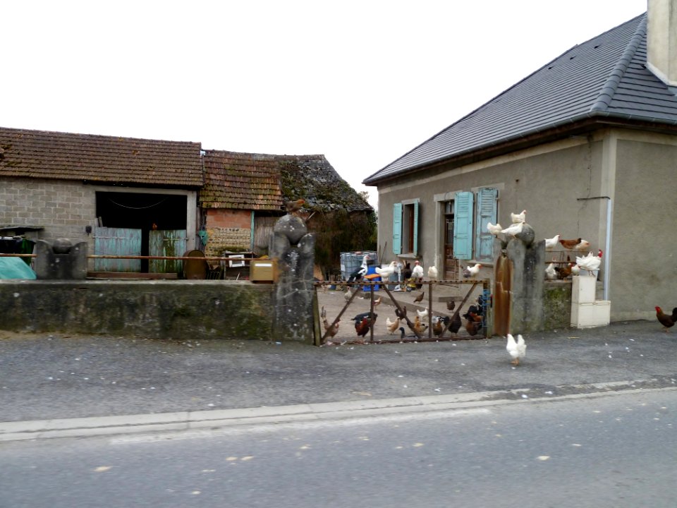 Ferme avec animaux à Auriac (Pyrénées-Atlantiques)