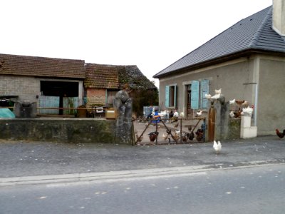 Ferme avec animaux à Auriac (Pyrénées-Atlantiques)