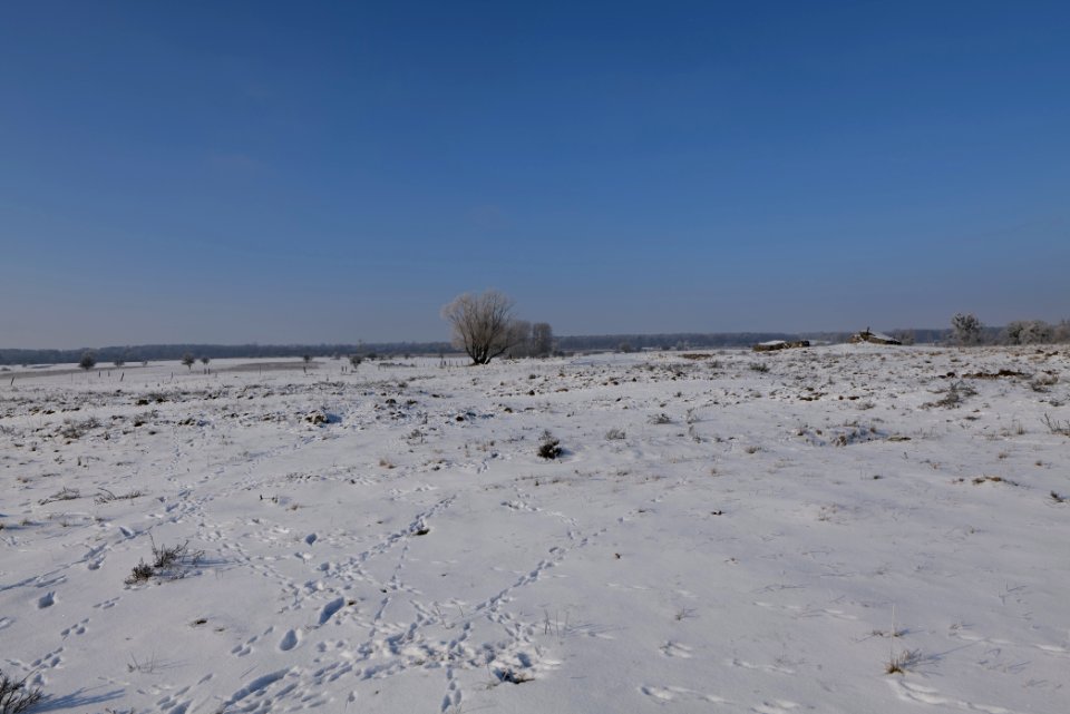 Ferbitzer Bruch with snow 2021-02-14 24