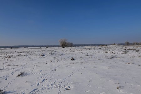 Ferbitzer Bruch with snow 2021-02-14 24
