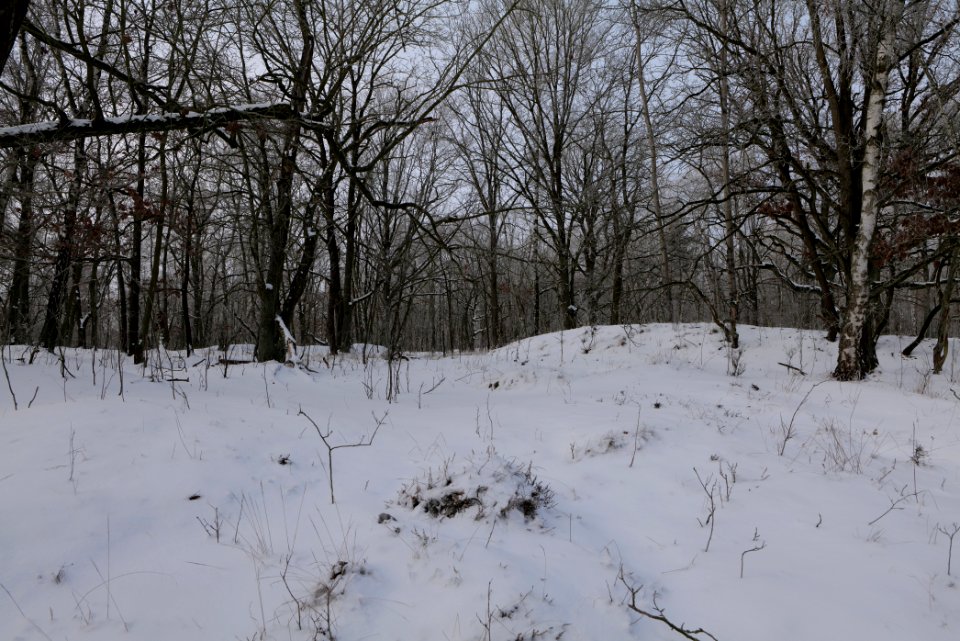 Ferbitzer Bruch with snow 2021-02-14 03