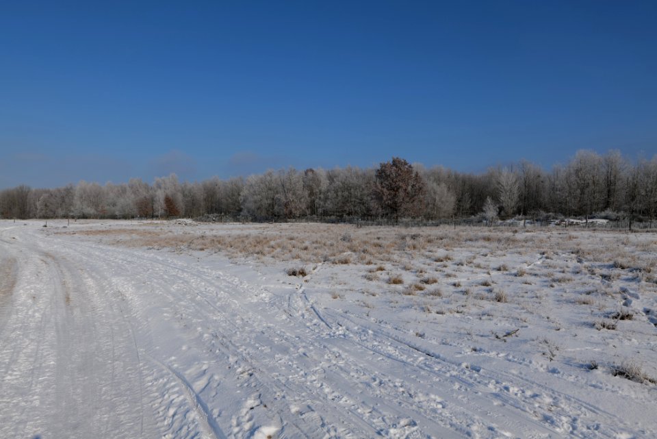 Ferbitzer Bruch with snow 2021-02-14 37