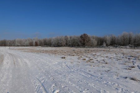 Ferbitzer Bruch with snow 2021-02-14 37