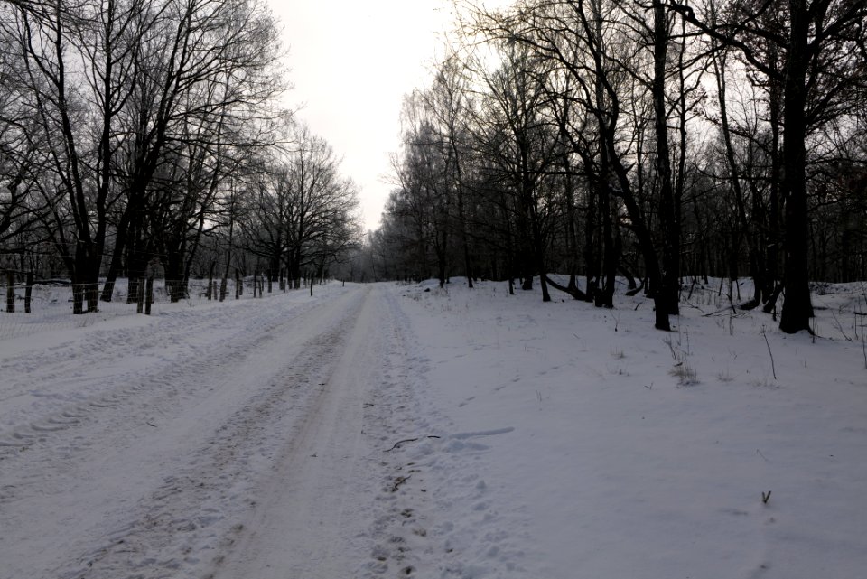 Ferbitzer Bruch Döberitzer Heide round trail with snow 2021-02-14 04