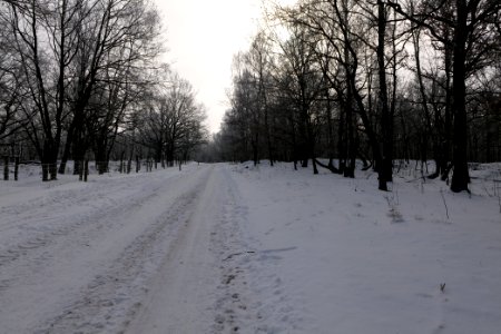 Ferbitzer Bruch Döberitzer Heide round trail with snow 2021-02-14 04