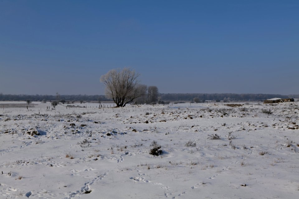 Ferbitzer Bruch with snow 2021-02-14 30