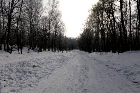 Ferbitzer Bruch Döberitzer Heide round trail with snow 2021-02-14 14