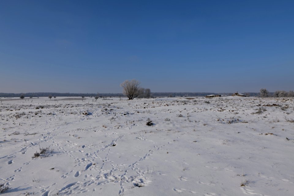 Ferbitzer Bruch with snow 2021-02-14 25