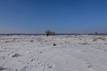 Ferbitzer Bruch with snow 2021-02-14 25