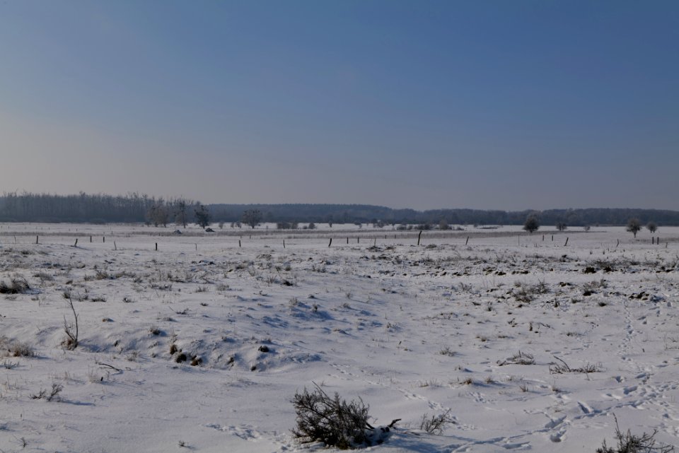 Ferbitzer Bruch with snow 2021-02-14 28