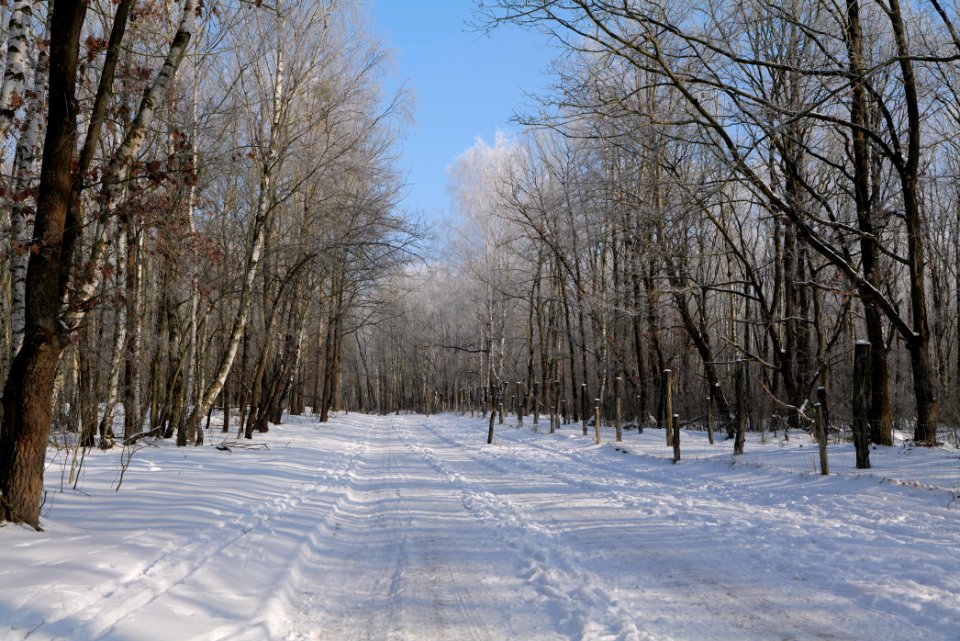 Ferbitzer Bruch Döberitzer Heide round trail with snow 2021-02-14 24