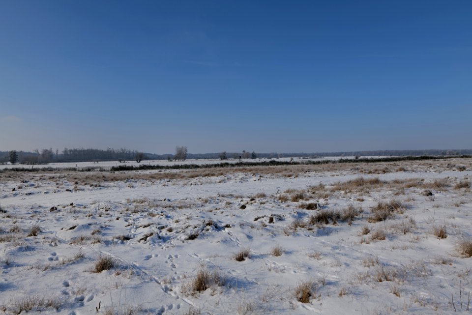 Ferbitzer Bruch with snow 2021-02-14 63