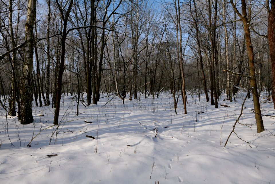Ferbitzer Bruch with snow 2021-02-14 09