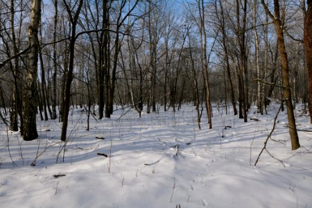 Ferbitzer Bruch with snow 2021-02-14 09