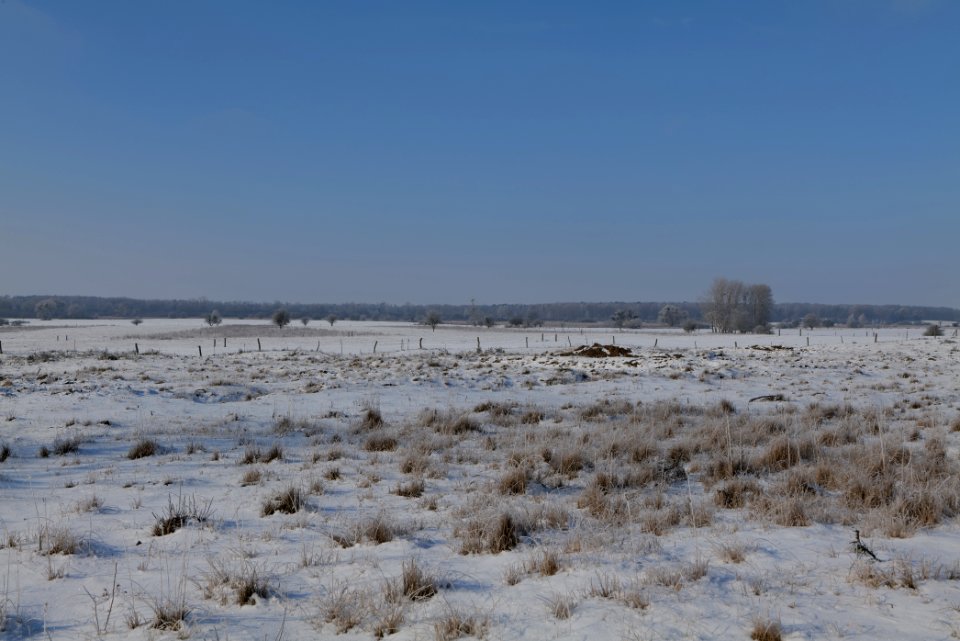 Ferbitzer Bruch with snow 2021-02-14 39