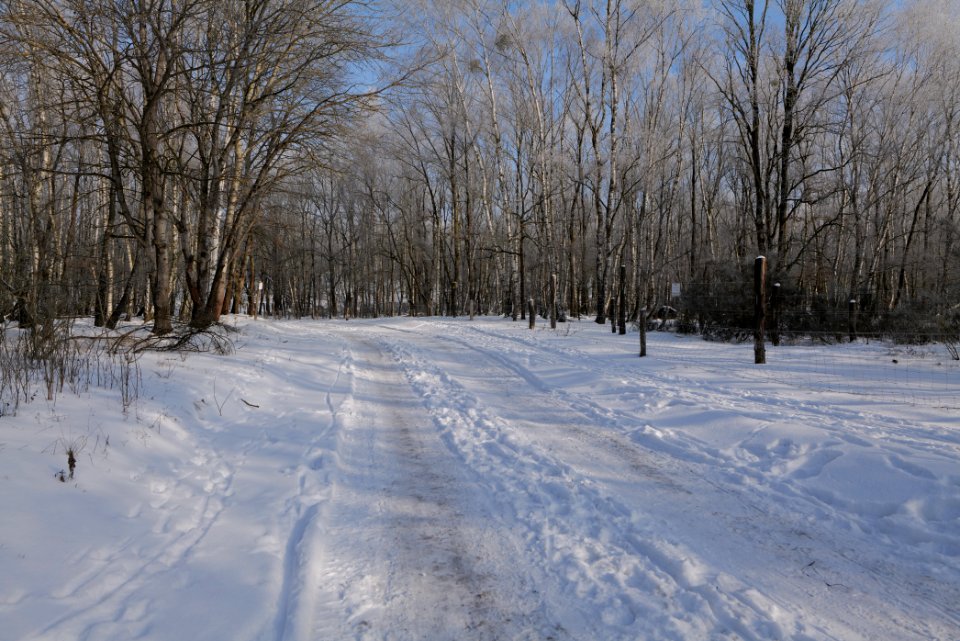 Ferbitzer Bruch Döberitzer Heide round trail with snow 2021-02-14 22