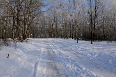 Ferbitzer Bruch Döberitzer Heide round trail with snow 2021-02-14 22