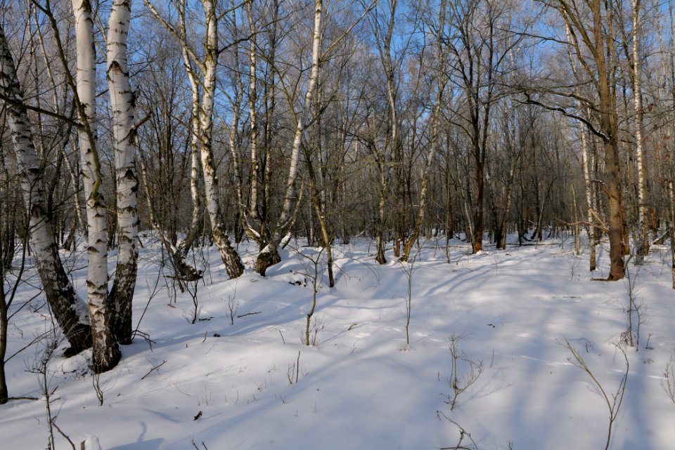 Ferbitzer Bruch with snow 2021-02-14 13