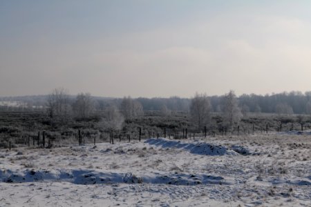 Ferbitzer Bruch Döberitzer Heide wilderness area with snow 2021-02-14 11