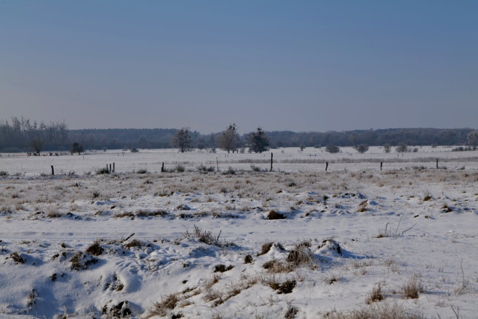 Ferbitzer Bruch with snow 2021-02-14 57