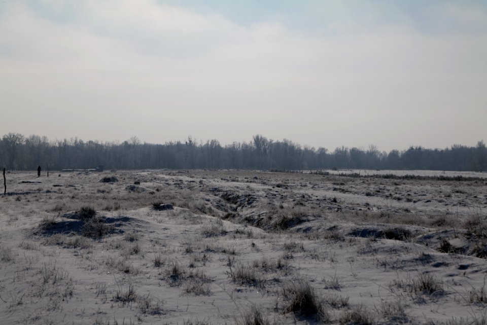 Ferbitzer Bruch with snow 2021-02-14 58