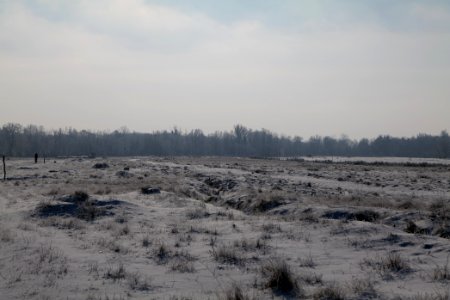 Ferbitzer Bruch with snow 2021-02-14 58