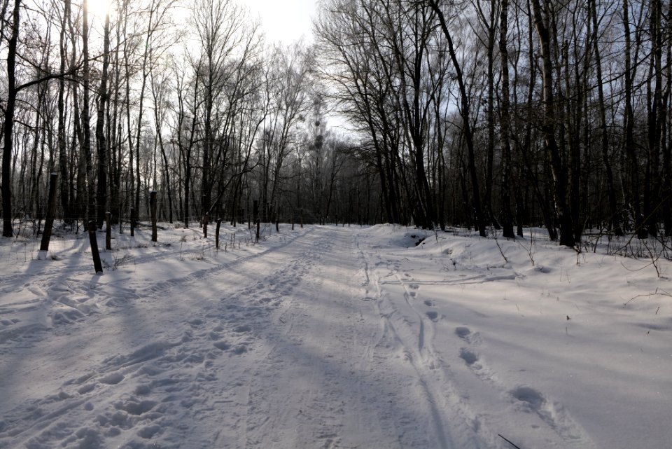 Ferbitzer Bruch Döberitzer Heide round trail with snow 2021-02-14 19