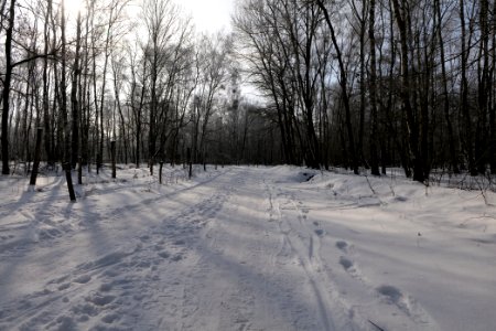 Ferbitzer Bruch Döberitzer Heide round trail with snow 2021-02-14 19