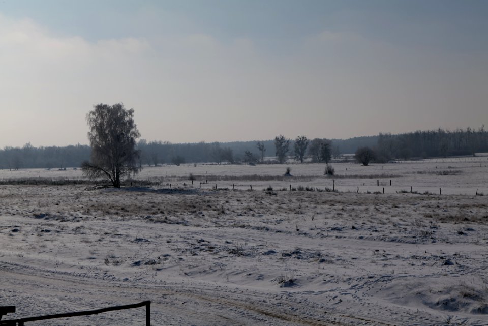 Ferbitzer Bruch with snow 2021-02-14 50