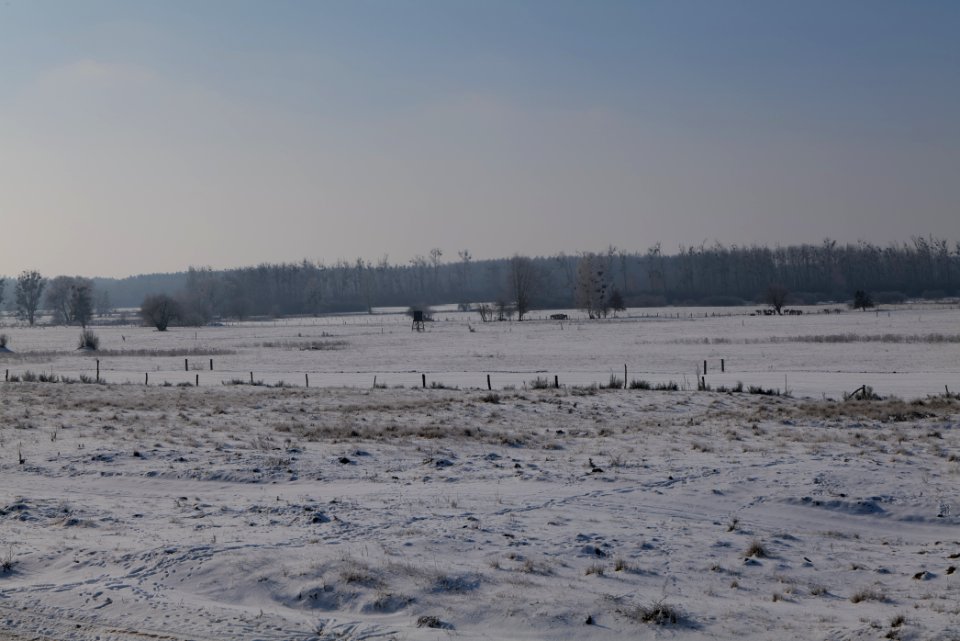 Ferbitzer Bruch with snow 2021-02-14 49
