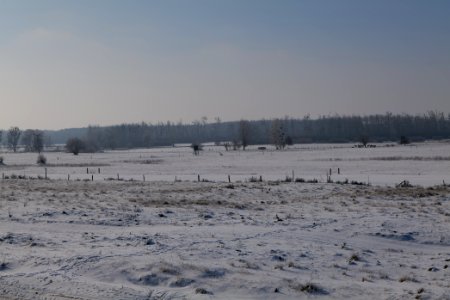 Ferbitzer Bruch with snow 2021-02-14 49