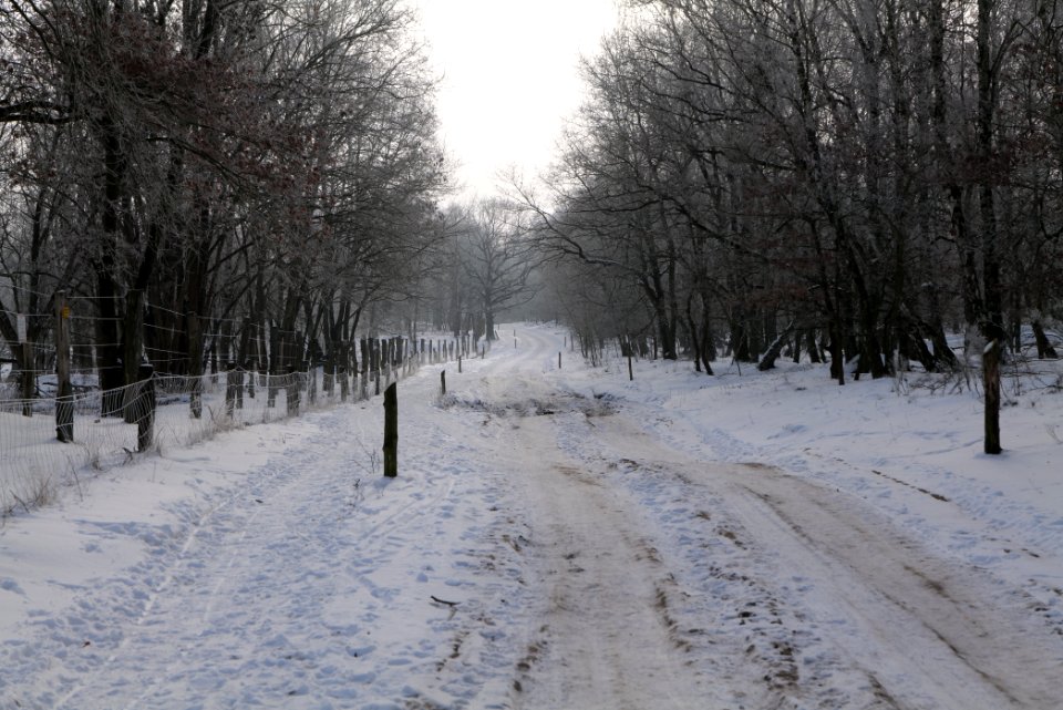 Ferbitzer Bruch Döberitzer Heide round trail with snow 2021-02-14 01