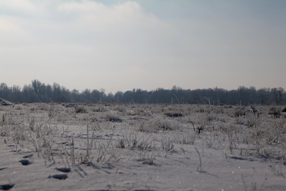 Ferbitzer Bruch with snow 2021-02-14 62