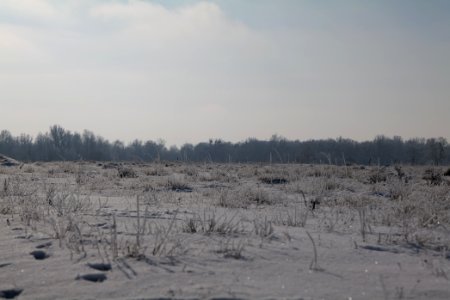 Ferbitzer Bruch with snow 2021-02-14 62