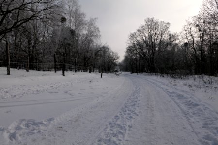 Ferbitzer Bruch Döberitzer Heide round trail with snow 2021-02-14 11