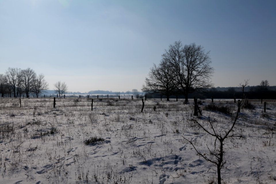 Ferbitzer Bruch with snow 2021-02-14 74
