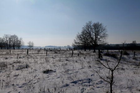 Ferbitzer Bruch with snow 2021-02-14 74
