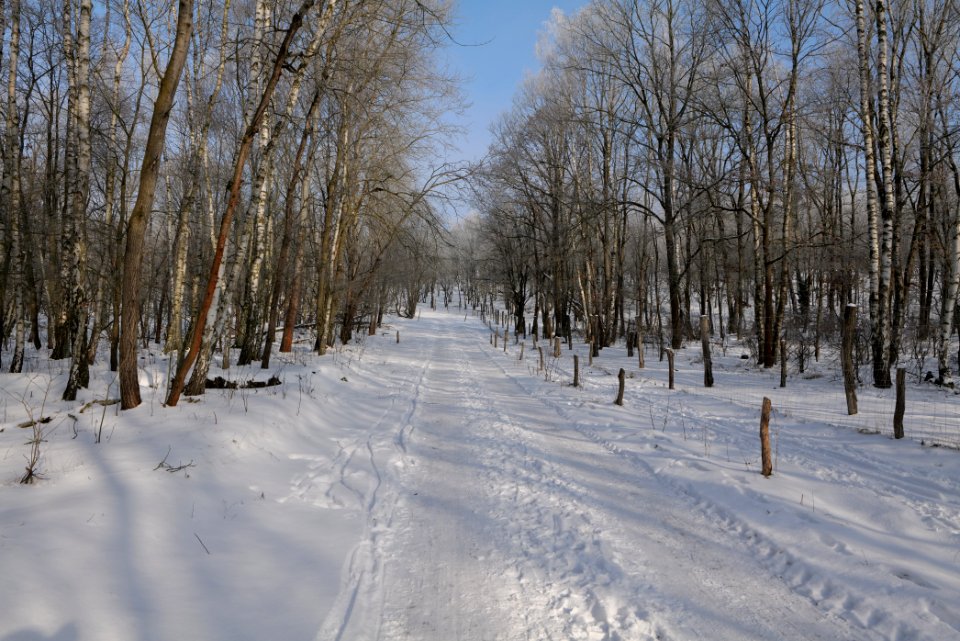 Ferbitzer Bruch Döberitzer Heide round trail with snow 2021-02-14 20