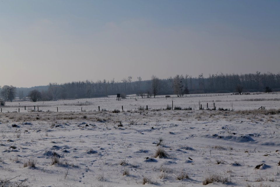 Ferbitzer Bruch with snow 2021-02-14 43
