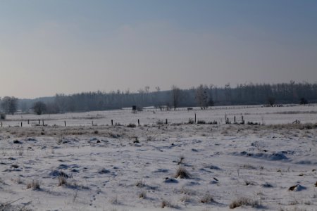 Ferbitzer Bruch with snow 2021-02-14 43