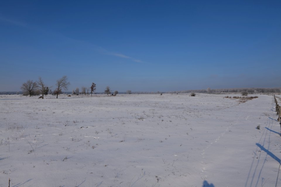 Ferbitzer Bruch with snow 2021-02-14 67