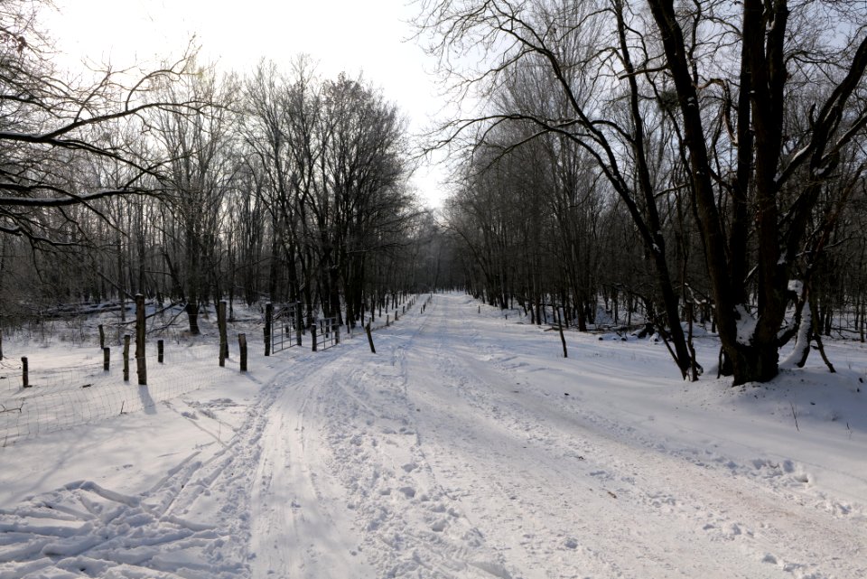 Ferbitzer Bruch Döberitzer Heide round trail with snow 2021-02-14 17