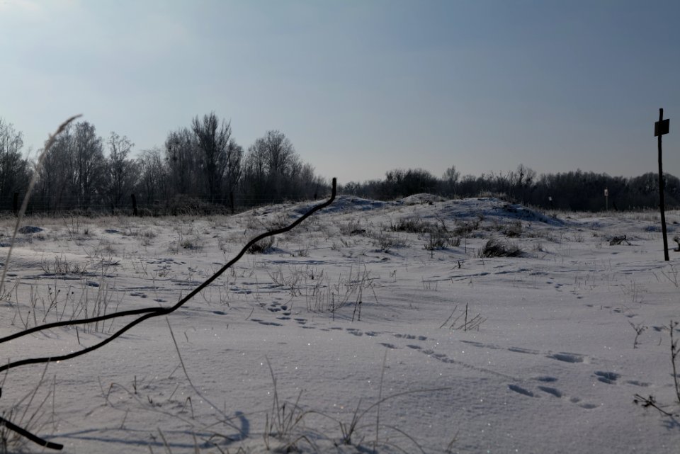 Ferbitzer Bruch with snow 2021-02-14 64