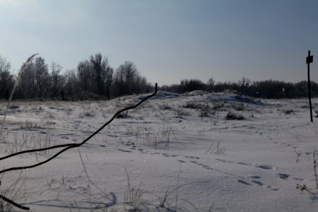 Ferbitzer Bruch with snow 2021-02-14 64