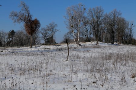 Ferbitzer Bruch with snow 2021-02-14 92