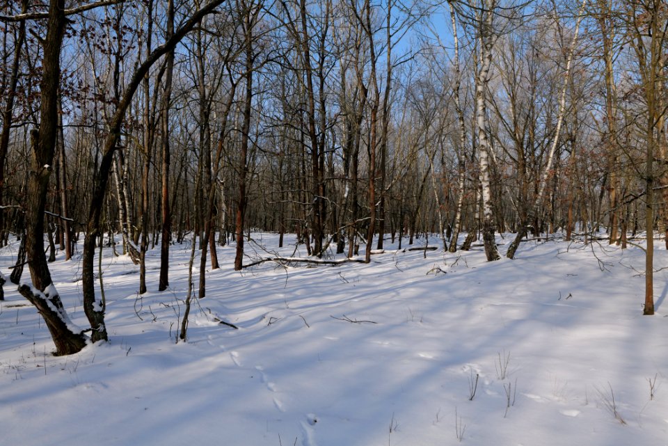 Ferbitzer Bruch with snow 2021-02-14 10