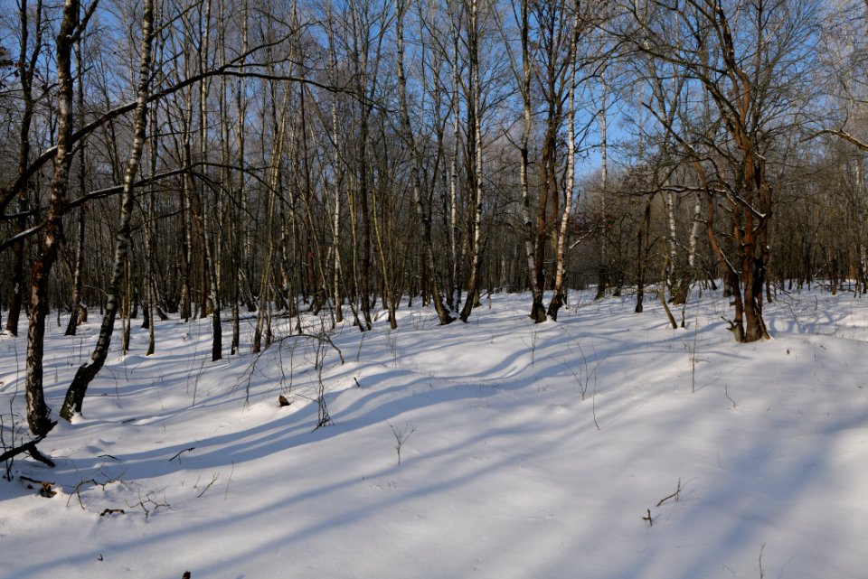 Ferbitzer Bruch with snow 2021-02-14 11