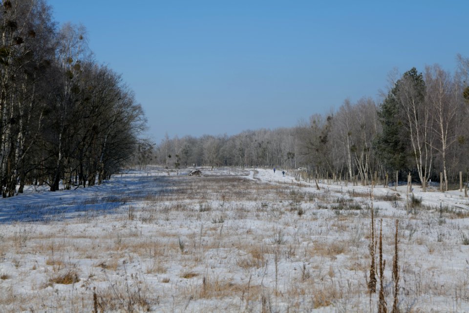 Ferbitzer Bruch with snow 2021-02-14 82