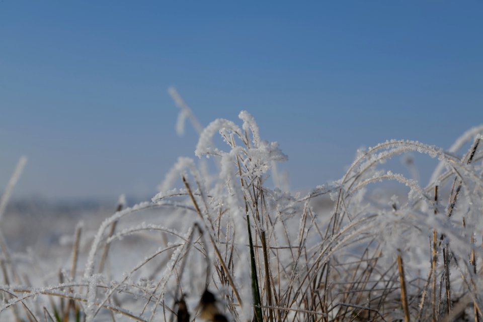 Ferbitzer Bruch with snow 2021-02-14 55